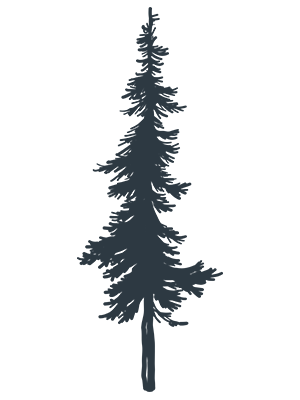 spruce icon